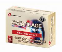 Sprint Pharma Cartilage repair 30cps SPRINT PHARMA