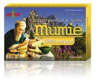 DAMAR Extract de rasina mumie 100% natural-tablete 60tbl DAMAR