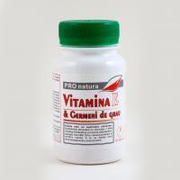 ProNatura Vitamina e cu germeni de grau 90cps PRO NATURA