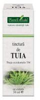 PlantExtrakt Tinctura de tuia - thuja occidentalis tm 30ml PLANTEXTRAKT