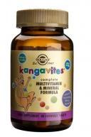 Solgar Kangavites multivitamin&mineral formula berry 60tbl SOLGAR