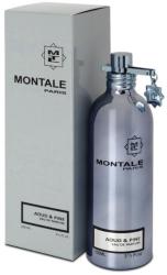 Montale Aoud & Pine EDP 100 ml