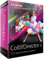 CyberLink ColorDirector 5 (1 PC)