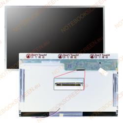 AU Optronics B121EW03 kompatibilis fényes notebook LCD kijelző