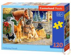 Castorland Állatok a farmon 120 db-os (B-13340)