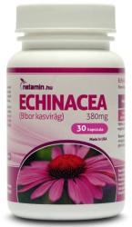 Netamin Echinacea 380 mg tabletta 30 db