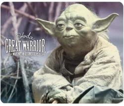 ABYstyle Star Wars Yoda Great Warrior (ABYACC194)