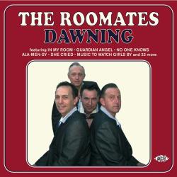 Roomates DAWNING