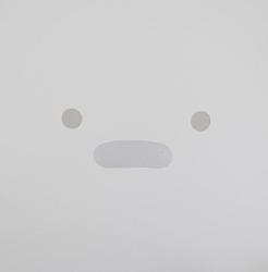 Personal Computer -digi-