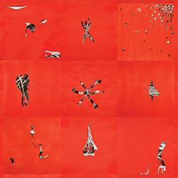 Animal Collective Hollinndagain