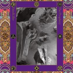 Painkiller Prophecynlive In Europe