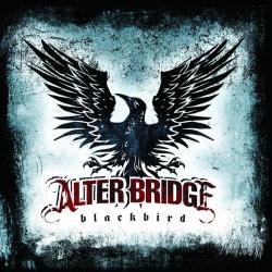 Alter Bridge BLACKBIRD - facethemusic - 3 790 Ft
