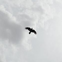 MOON BROS These Stars - facethemusic - 9 390 Ft