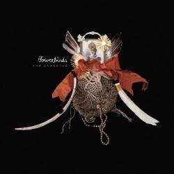 Bowerbirds CLEARING - facethemusic - 5 190 Ft