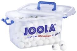 JOOLA Mingi tenis de masa Joola Training 40+, 144 buc