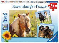 Ravensburger Kedves lovak 3x49 db-os (08011)