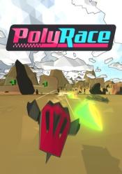 Plug In Digital PolyRace (PC)