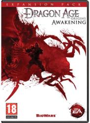 Electronic Arts Dragon Age Origins Awakening (PC)