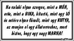  Ha valaki olyan szorgos mint a méh humoros vicces tábla matrica