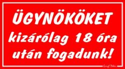  Ügynököket kizárólag 18 óra után fogadunk! humoros vicces tábla matrica