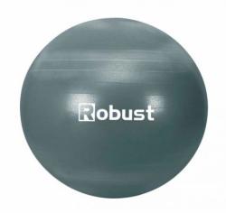 Robust Fitnesz labda pumpával 55cm