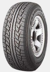 Federal Evoluzion ST-1 275/40 R19 105Y