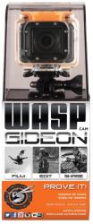 WASPcam Gideon 9904