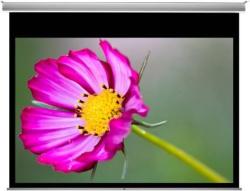 Funscreen Premium In-Ceiling Motor 131x213 16:10 (funP.IC.161.213.MW)