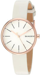 Skagen Signature SKW2595