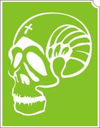  Koponya (css_orias_0015)