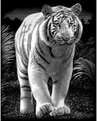 Reeves Ezüst képkarcoló - Fehér tigris (PPSF40)