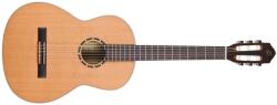 Ortega Guitars R122SN