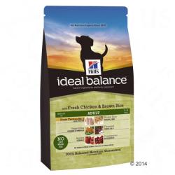 Hill's Ideal Balance Adult - Chicken & Rice 2x12 kg