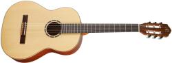 Ortega Guitars R121SN