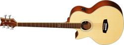 Ortega Guitars D1-5 LH