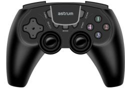 Astrum GP210 Gamepad, kontroller