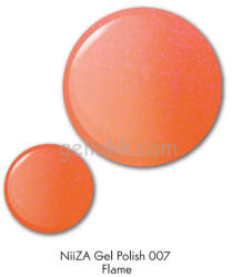 ZZ! NiiZA Gel Polish 7ml - 007