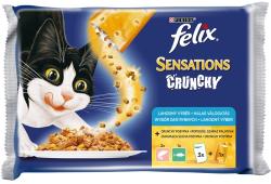 FELIX Sensations Crunchy Fihs 3x100 g