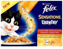 FELIX Sensations Crunchy Multipack 10x100 g+40 g