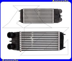 CITROEN C2 2003.01-2008.11 /JM/ Intercooler, levegőhűtő "1.6 HDI" 300x150x80 CNA4252