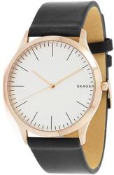 Skagen SKW1102