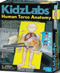 4M Kidz Labs - Az emberi torzó anatómiája