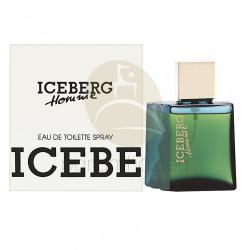 Iceberg Homme 1991 EDT 100 ml