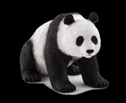 Mojo Urs Panda Urias (387171)