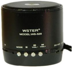 Wster WS-529