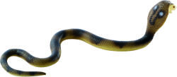 BULLYLAND Cobra (68481) Figurina