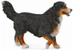 CollectA Ciobanesc de Bernese (88801) Figurina