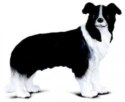 CollectA Border Collie (88010) Figurina