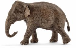 Schleich Femela Elefant Asiatic (14753)