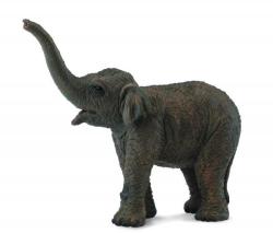 CollectA Pui De Elefant Asiatic S (88487) Figurina